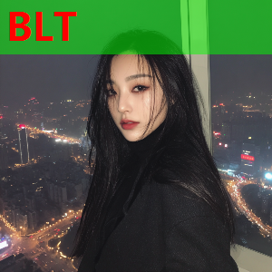 积分等级系统